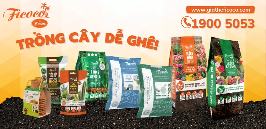 Ficoco - Trồng cây dễ ghê!